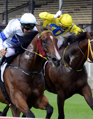Racing Queensland Magazine